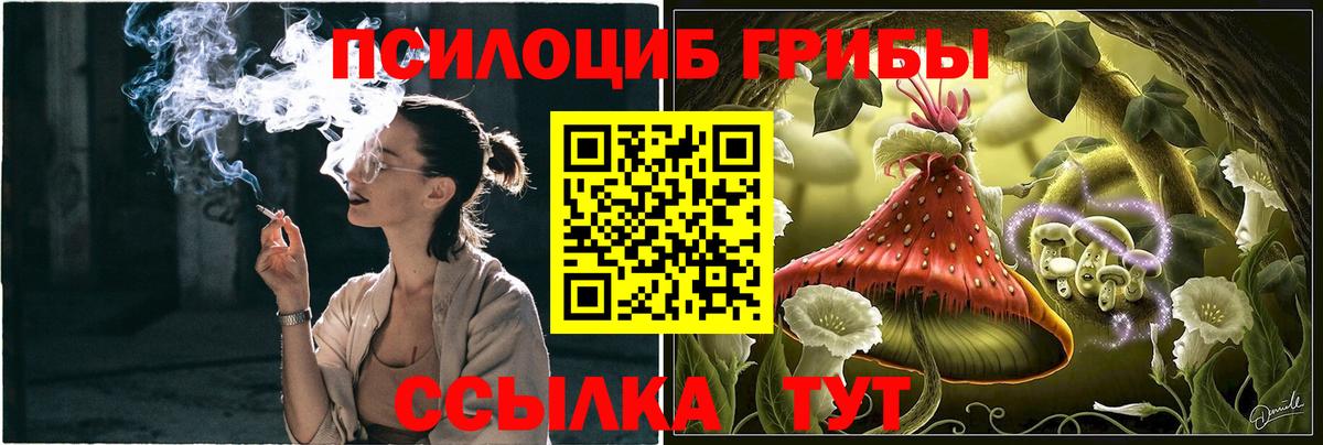 Галлюциногенные грибы Cubensis Норильск